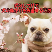 ���̂����Ō��̕|��������P����ɂ�