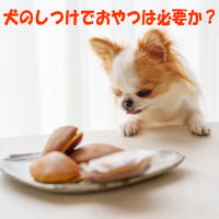 ���̂����ł���͕K�v���H